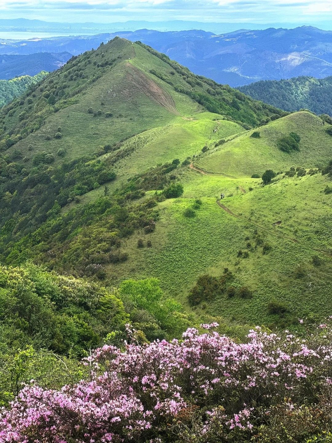 云南九大高原湖泊群的高清湖面与群山全景